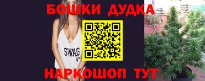 спиды Сланцы