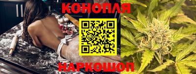 шишки Славгород