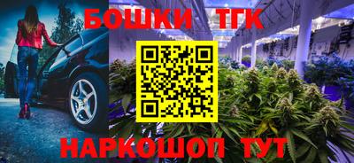 шишки Славгород