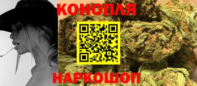 шишки Славгород