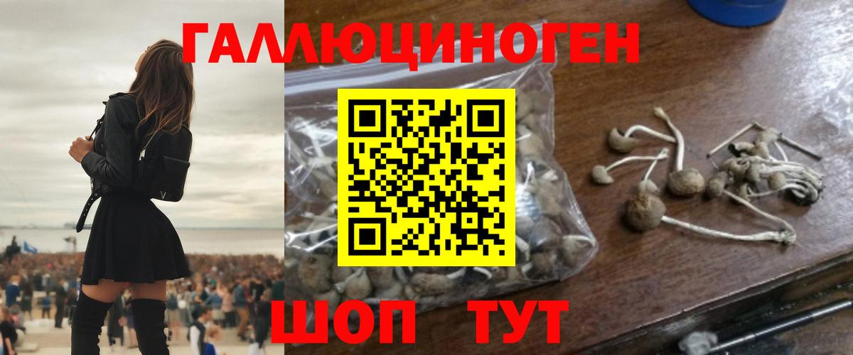 Нягань  Псилоцибиновые грибы прущие грибы  Вход с VPN 